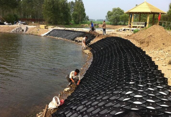 �䳲�������ґ�����·������